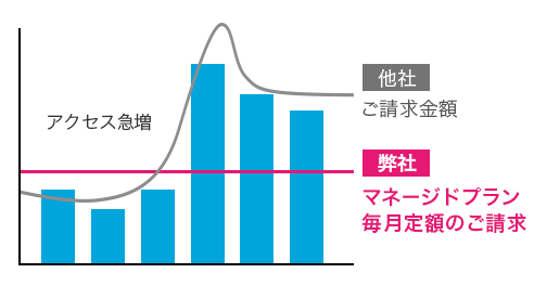 定額料金だから「コストの心配不要」